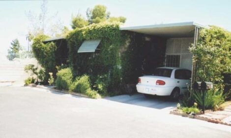 Country Lore: Planting Vines for Shade Image